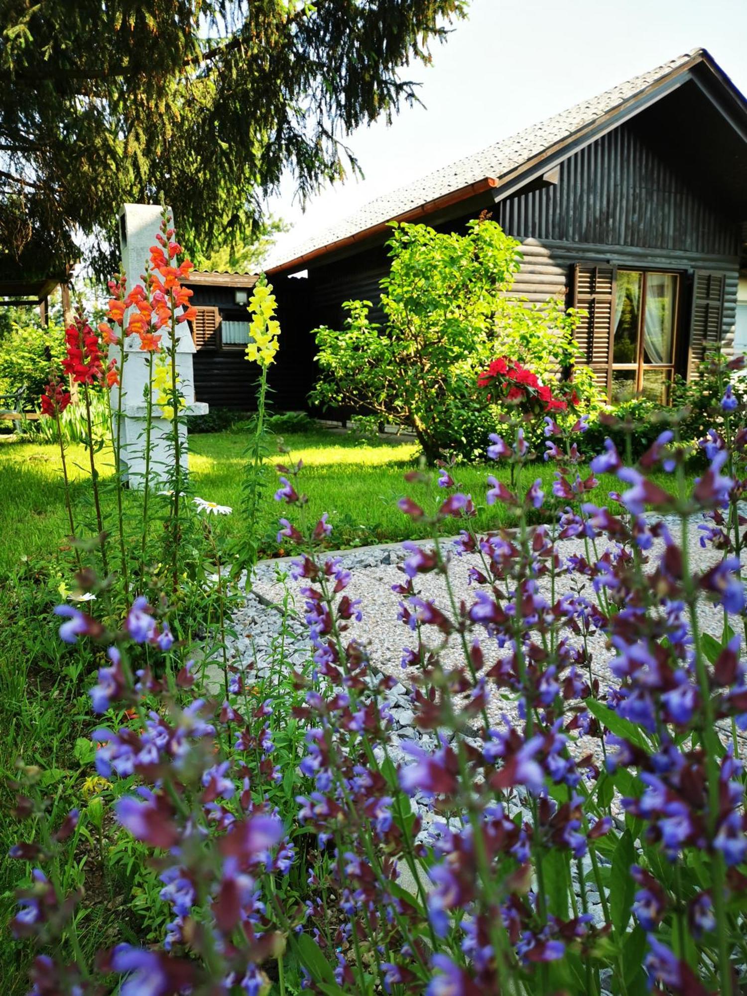 Merikotka - A Cozy Wooden Cottage, Slovenia Braslovce Luaran gambar