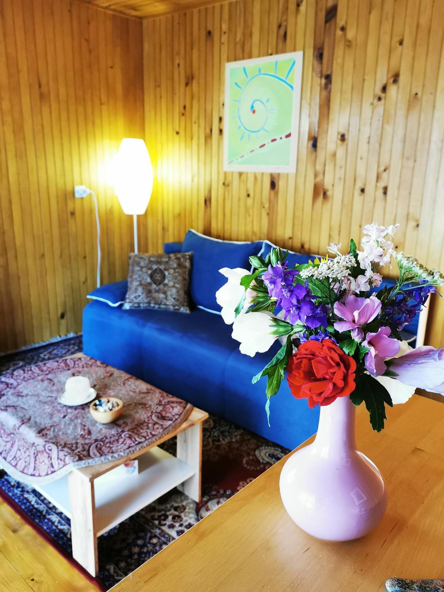 Merikotka - A Cozy Wooden Cottage, Slovenia Braslovce Luaran gambar