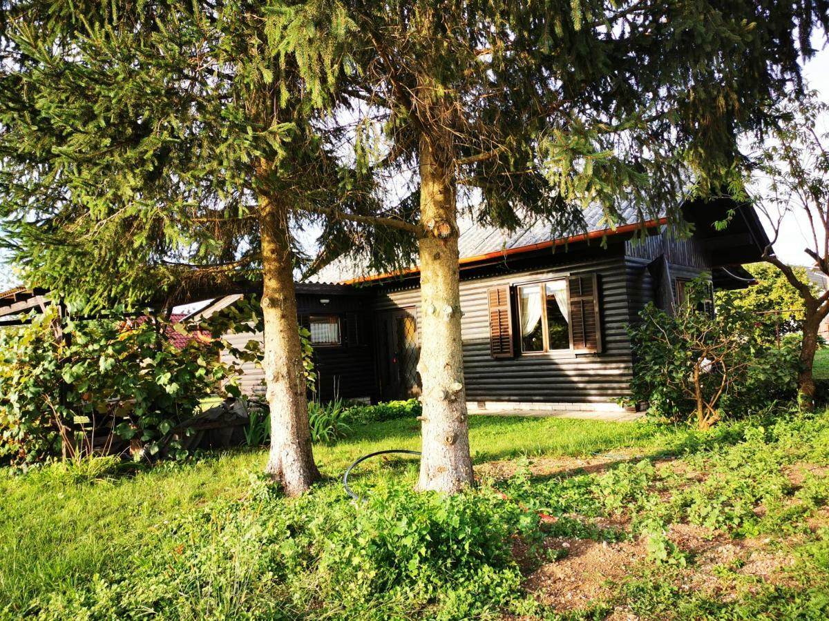 Merikotka - A Cozy Wooden Cottage, Slovenia Braslovce Luaran gambar